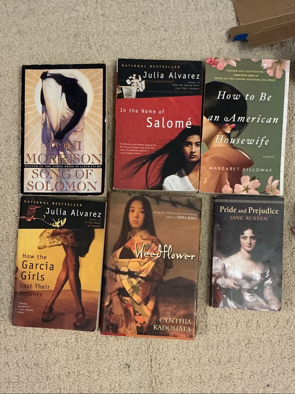 Classic & Contemporary Paperback Book Lot - Mixed Covers (6 Titles)